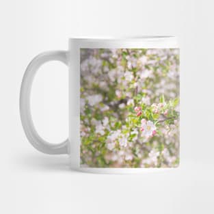 Pastel Pink Springtime Orchard Apple Blossoms in Naramata Mug